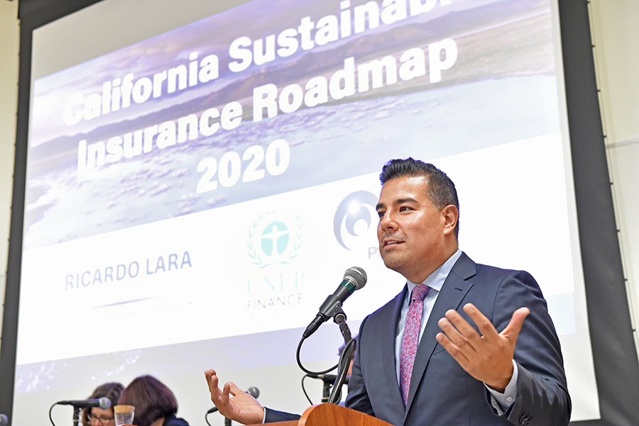 Sustainable Insurance Roadmap