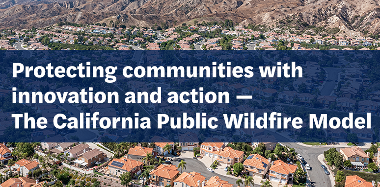 Public wildfire model - large banner Public wildfire model - large banner